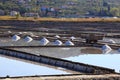 Salt heaps Royalty Free Stock Photo