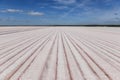 Salt industry, La Pampa