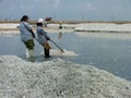 Salt industry in Sri Lanka