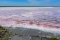 Salt lagoon,Dunaliella salina coloration,