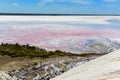 Salt lagoon,Dunaliella salina coloration,