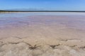 Salt lagoon,Dunaliella salina