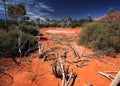 Salt Lake in Australian Desert