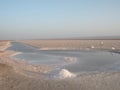 Salt lake, Chott El Jerid Royalty Free Stock Photo