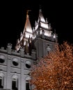 Salt Lake City Mormon Temple Christmas Lights Royalty Free Stock Photo