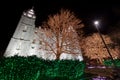 Salt Lake City Temple with Christmas Lights