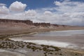 Salt Lake in the desert , Chile Royalty Free Stock Photo