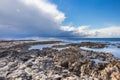 Salt lake with flamingos near Larnaca, Cyprus