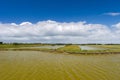 Salt lake at French Oleron island Royalty Free Stock Photo