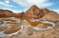 Salt lake lagoon Chaxa