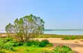 Salt Lake in Larnaka Royalty Free Stock Photo