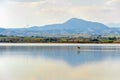 Salt lake in Larnaka