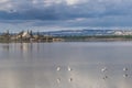 Salt Lake near Larnaca, Cyprus - wintering place for pink flamingos, nature reserve and tourist attraction Royalty Free Stock Photo