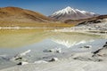 Salt lake in Piedras Rojas, volcanic landscape at sunrise, Atacama, Chile