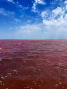 Salt lake with red water against blue sky Royalty Free Stock Photo