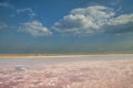 Salt lake with rose water and salt. Magnificent landscape