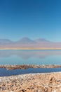 Salt lake salar in Atacama Desert, Chile, South America, vulcano in the background. Royalty Free Stock Photo