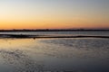 Salt Lake at sunset. A path in the water that leads to the bird`s habitat.