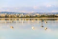 Salt lake in Larnaka