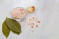Salt and lemon.close-up Pink Himalayan salt on the glass bowl Royalty Free Stock Photo