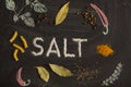 SALT letters, spices and herbs on a blackboard