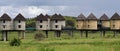 Salt lick lodge hotel accommodation , Taita Hills , Kenya Royalty Free Stock Photo