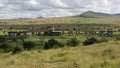 Salt lick lodge , Taita Hills , Kenya Royalty Free Stock Photo