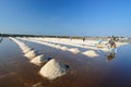 Salt Royalty Free Stock Photo