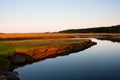 Salt marsh