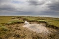 Salt marsh Ameland Royalty Free Stock Photo