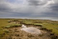 Salt marsh Ameland Royalty Free Stock Photo