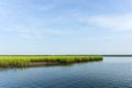 Salt marsh on Bulls Island Royalty Free Stock Photo