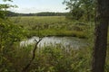 Salt Marsh Cheesequake Park