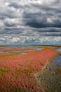 Salt Marsh,Eiderstedt Peninsula,North Sea,North Frisia,Germany Royalty Free Stock Photo