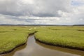 Salt Marsh Fields.