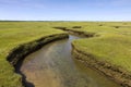 Salt Marsh Land