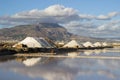 Salt marsh landscape