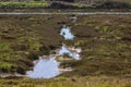 Salt Marsh in Leigh-on-Sea, Essex