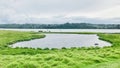 A salt marsh looks like a jug-shaped next to the sea shore and Hills across the bank.