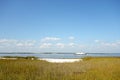 Salt marsh, North Carolina Royalty Free Stock Photo