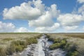 Salt Marsh in North Frisia,North Sea,Wattenmeer National Park,Germany