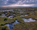 Salt Marsh Pools