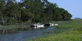 The Salt Marsh on Tybee Island