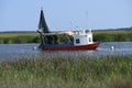 The Salt Marsh on Tybee Island