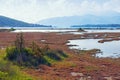 Salt marsh . View of special nature reserve Solila. Montenegro