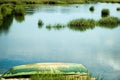 Salt Marsh, Wellfleet