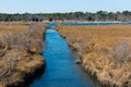 Salt Marshes