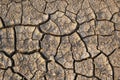 Salt marshes. Dry cracked earth. Close-up