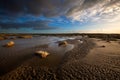 Salt marshes and flat muds under the cloudy sky in Kwade Hoek, the Netherlands