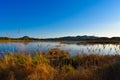 In the salt marshes Royalty Free Stock Photo